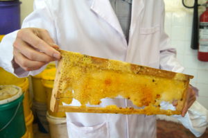 Honey Care Africa: Powering Smallholder Honey Production in East Africa